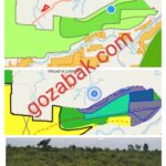 Mafia Degradasi Hutan Leluasa Tanpa Pengawasan