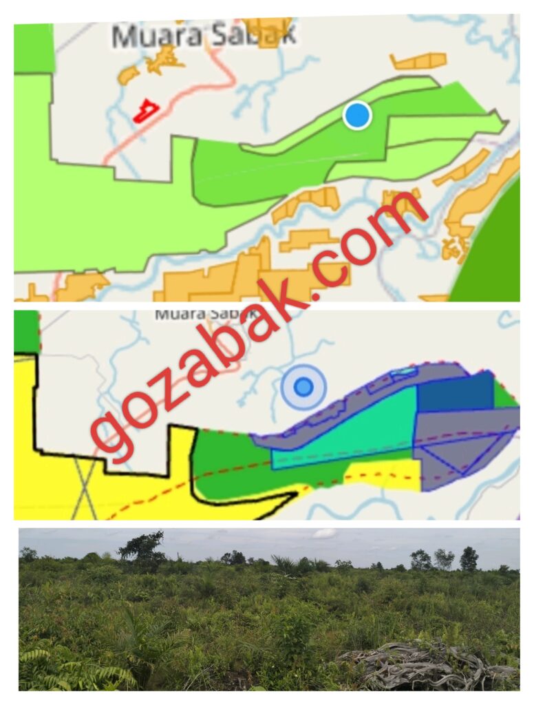 Diduga Peralihan Fungsi Hutan Dendang Dipicu Oleh Komersialisasi Lahan Kawasan