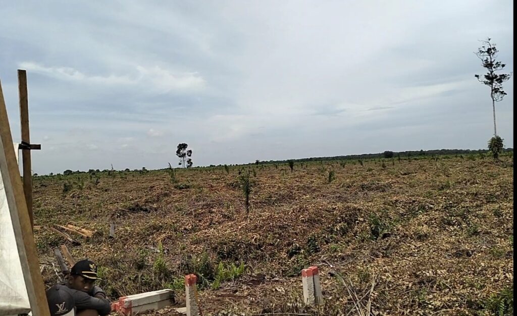 Negara Terkesan Tidak Berdaya Menyelamatkan Kawasan Hutan Dari Kroni Mafia Lahan