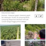 Surat Terbuka Prof Arya Hadi Dharmawan, Ahli Kehutanan IPB, Kepada Presiden Prabowo