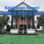 Kejari Tanjabtim Kantongi Nama Sindikat Deforestasi Kawasan Hutan Dendang