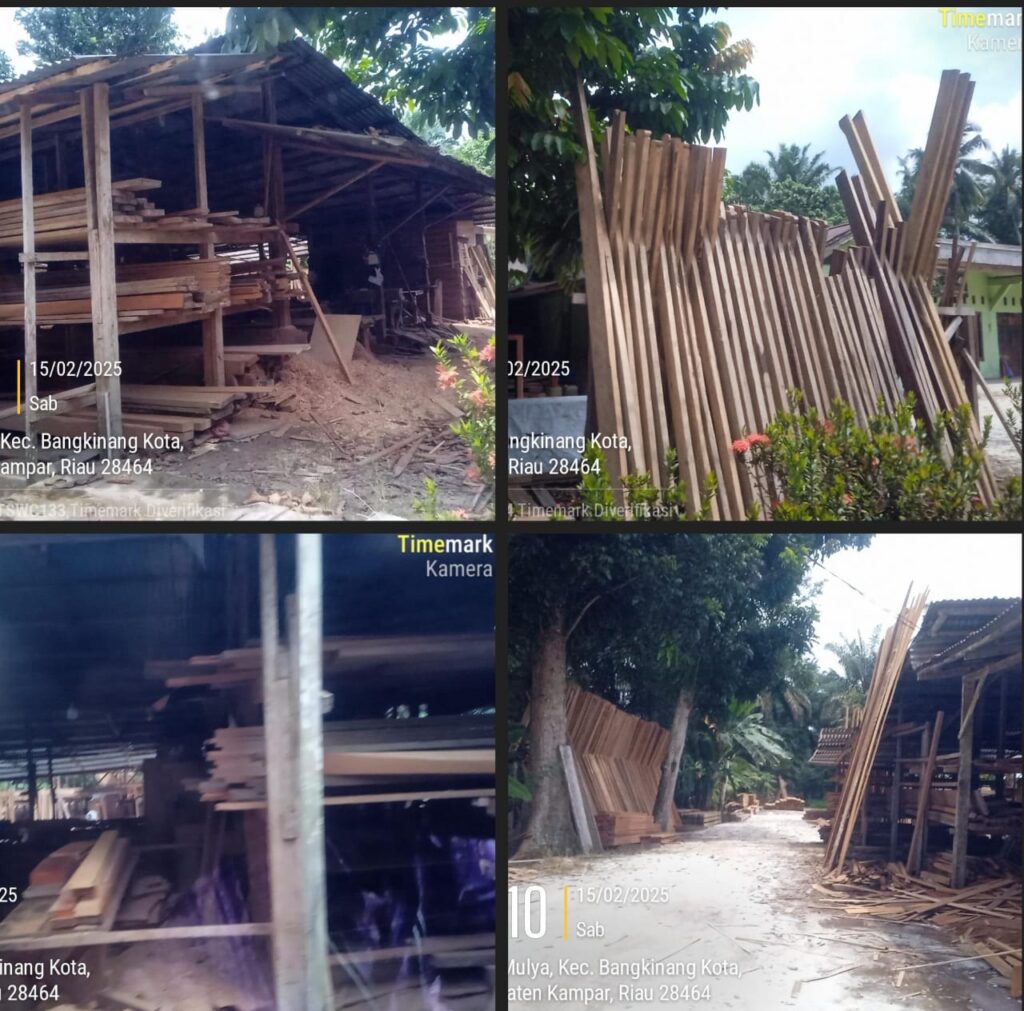 Diduga Kilang  Pengolah Kayu Ilegal Beroperasi Tanpa Izin
