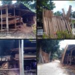 Diduga Kilang  Pengolah Kayu Ilegal Beroperasi Tanpa Izin