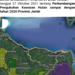 Tiga Juta Izin PBPH Tidak Sesuai Dengan Mekanisme Pengelolaan Hutan Potensi Akan di Cabut